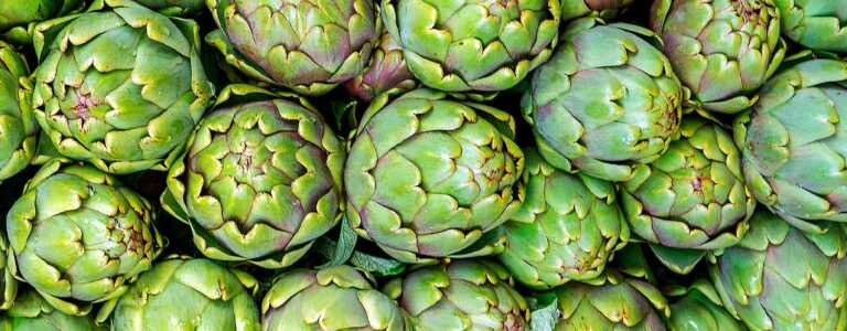 The Artichoke Diet: The Ultimate Guide to Use It 【 Cynara